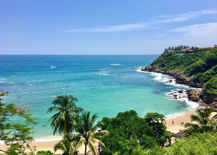 Tropical Beach Cove with Palm Trees and Ocean View