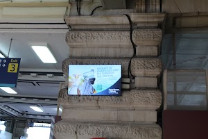 IMG_7209.CR2