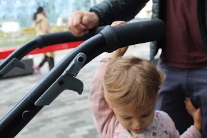 IMG_7248.CR2