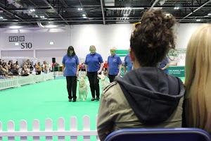 IMG_7304.CR2