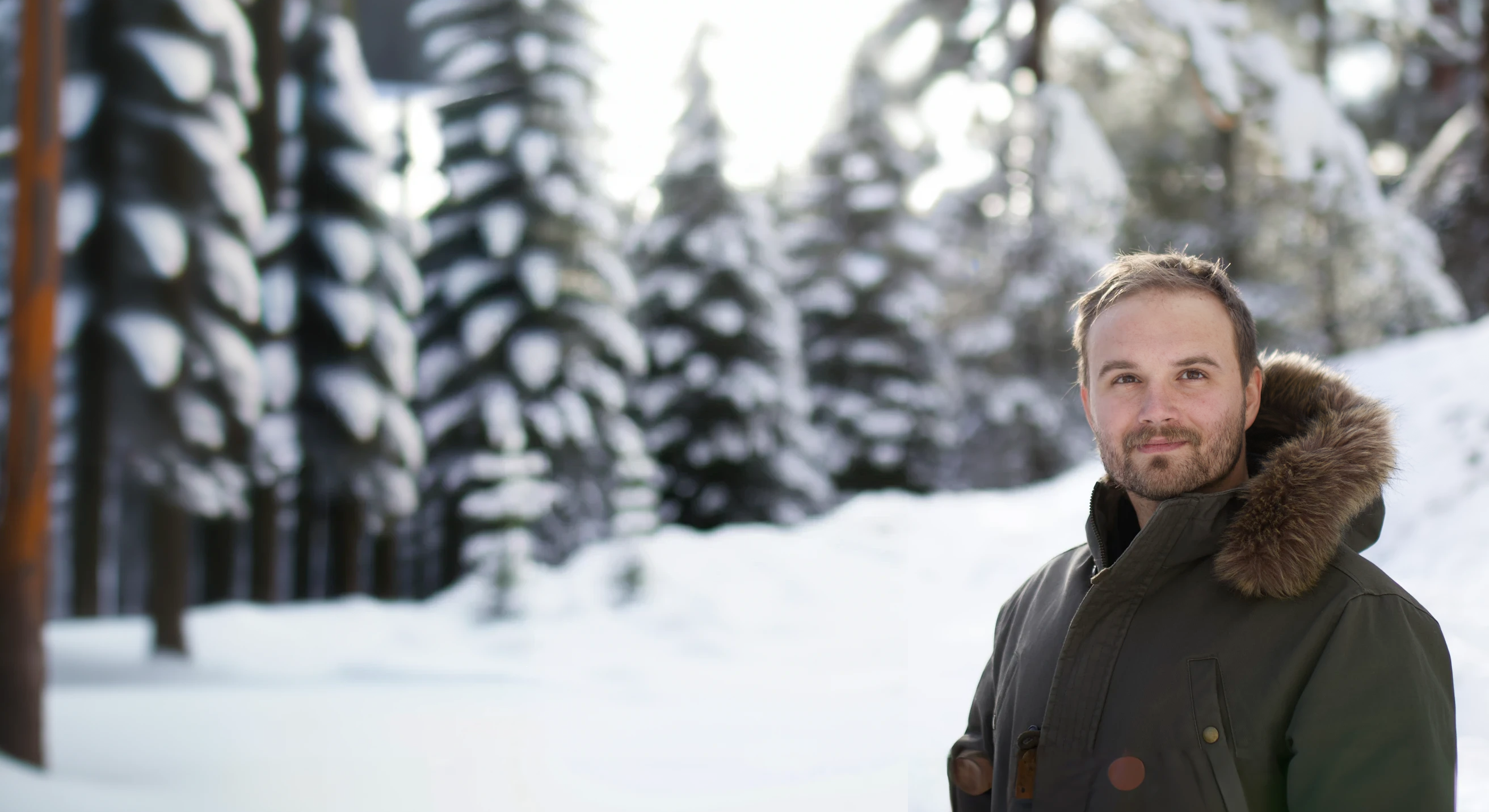 DALL·E 2022-12-15 23.49.43 - blurry snowy forest.png
