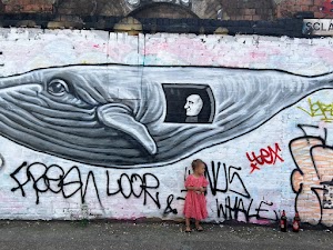 IMG_6539.jpg
