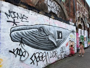 IMG_6541.jpg