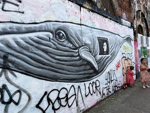 IMG_6542.jpg
