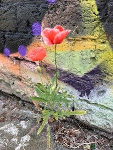 IMG_6633.jpg