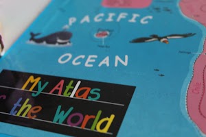 IMG_7424.CR2
