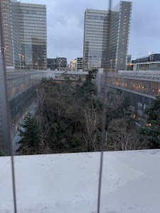 IMG_3450.jpg