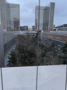 IMG_3451.jpg