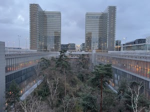 IMG_3454.jpg