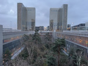 IMG_3455.jpg