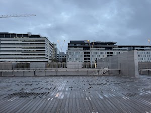 IMG_3457.jpg