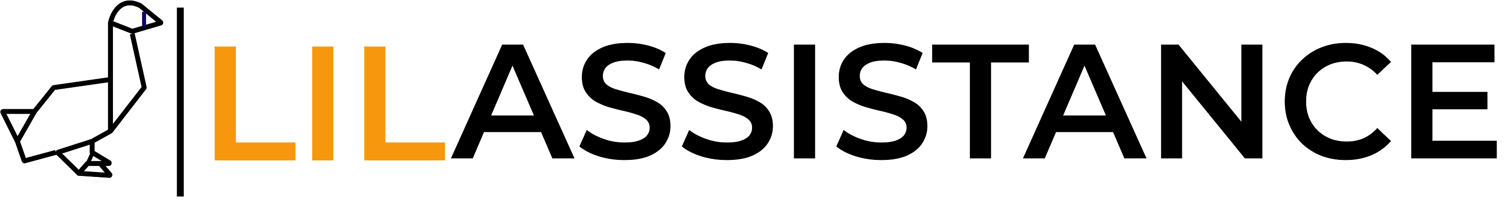 lil logo black (2).png