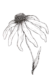 art image copy 6-topaz-enhance-6x.png