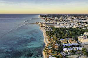 DJI_0229 copy.PNG
