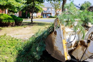 branch-removal-in-tractor-bucket-workers-in-the-mu-2023-11-27-05-35-50-utc.jpg