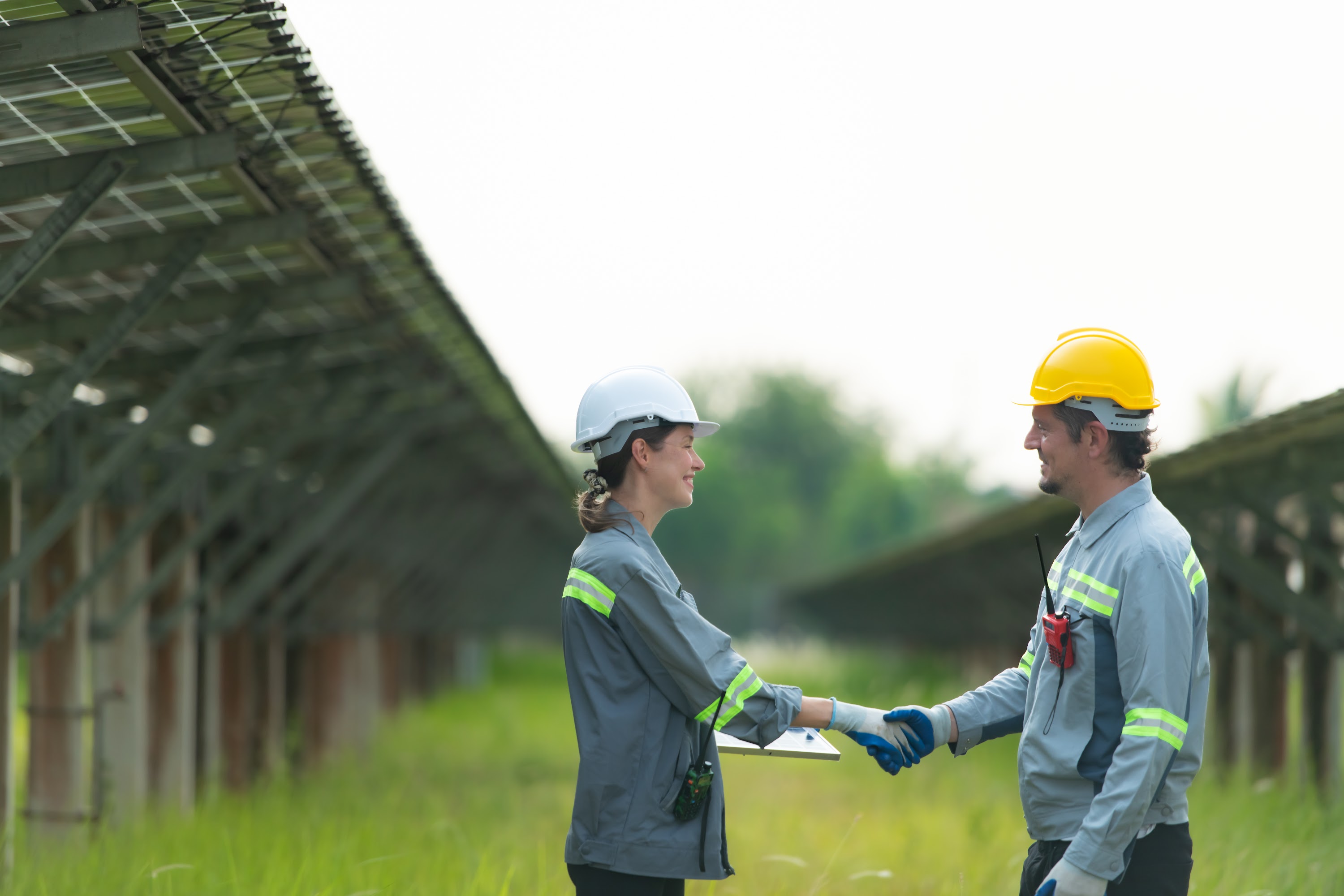 at-hundreds-of-acres-of-grass-with-solar-panels-2023-11-27-05-19-12-utc.jpg