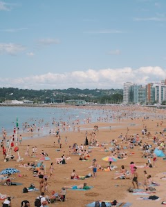 lucia-garo-Tj1up6F1k58-unsplash.jpg