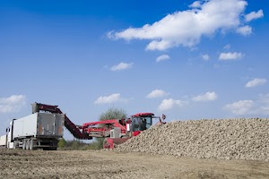 vehicle-harvesting-sugar-beets-2023-11-27-04-57-10-utc.jpg