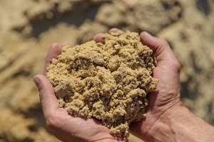 sand-in-the-hands-of-a-man-selective-focus-2023-11-27-04-49-21-utc.JPG