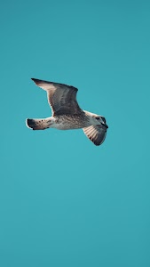 pexels-sabri-cetin-1570909806-27269560.jpg