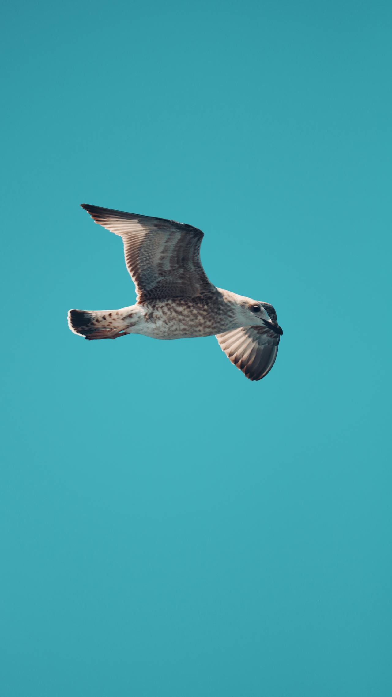 pexels-sabri-cetin-1570909806-27269560.jpg