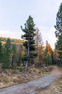 7677589212221854_4r6a5901.jpg