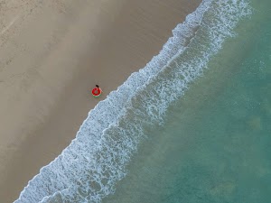 9380367404887846_dji_20241121083610_0304_d.jpg