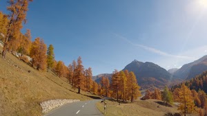 gettyimages-2188631266-jpg-600-esp-transient.jpg