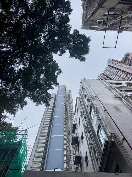 6049992145418546_img_1218.jpg
