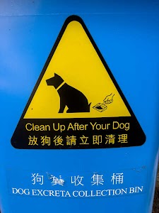 6576046094701014_img_1217.jpg