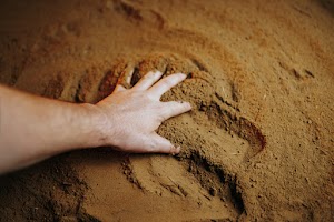 a-farmer-s-hands-work-the-ground-with-selective-f-2024-10-18-10-03-34-utc.jpg
