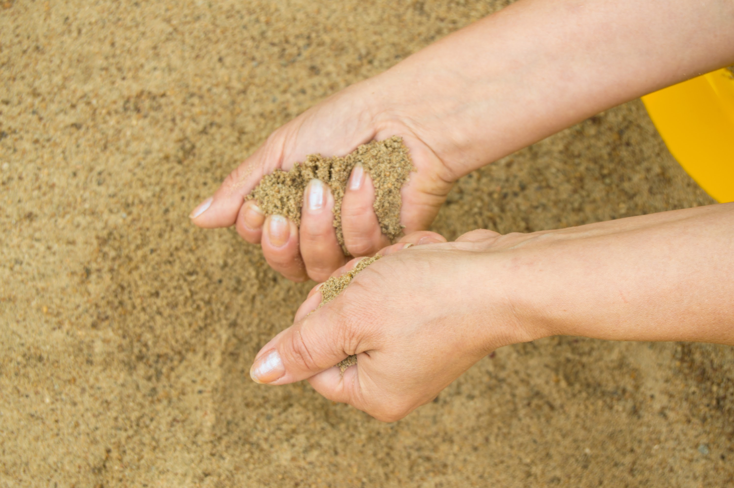 female-hands-with-sand-the-concept-of-vacation-an-2024-12-07-13-59-24-utc.jpg