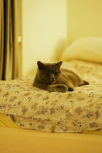 8182183188217522_dsc02751.jpg