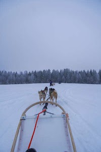 34845714132525085_dsc02284.jpg