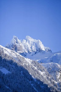 7315495139874706_dsc02497.jpg