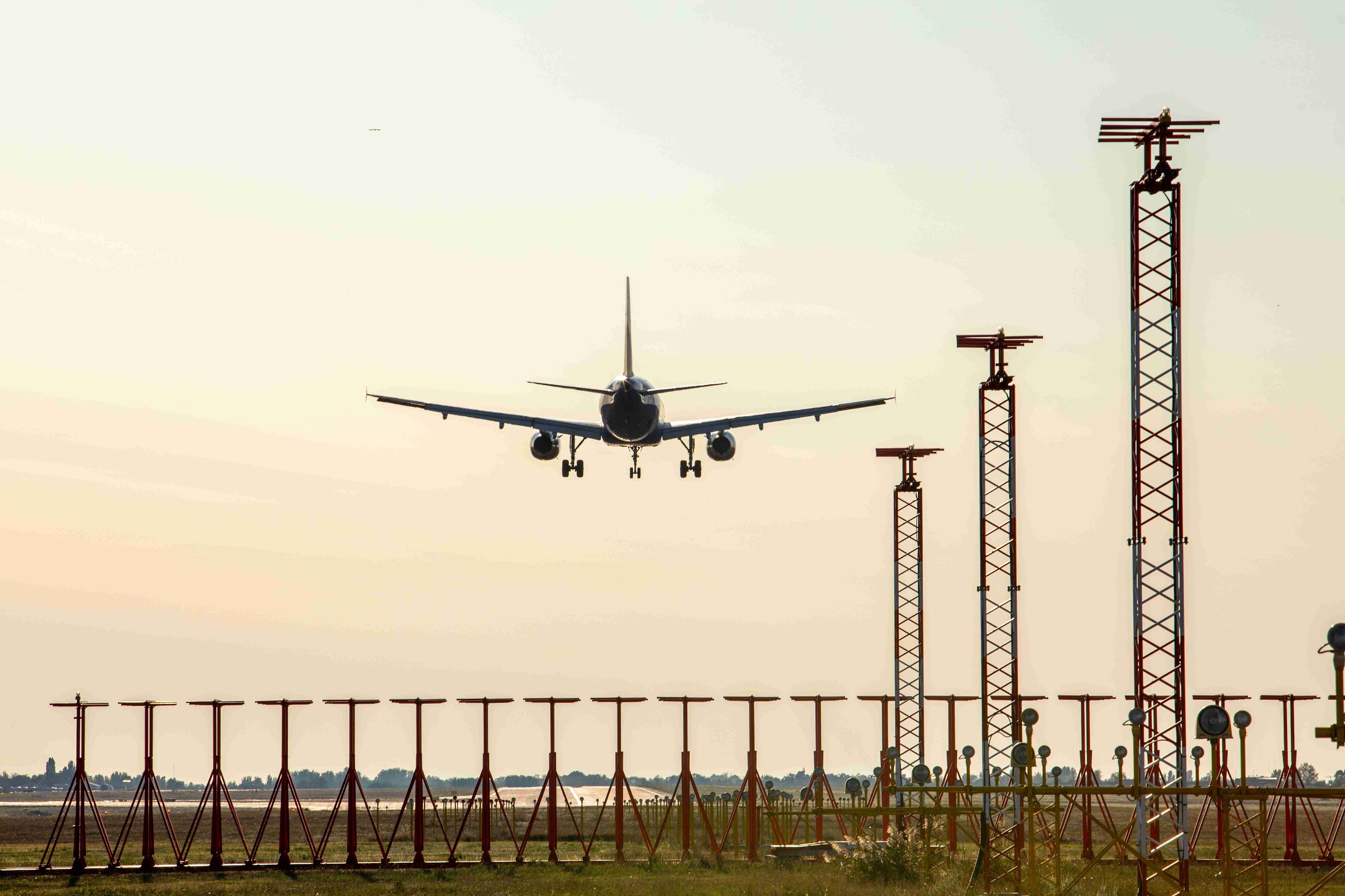 back-of-landing-plane-2023-11-27-04-56-24-utc (1).jpg