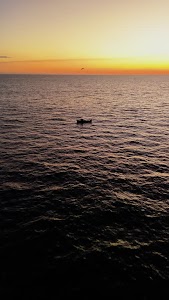 gettyimages-2191658054-jpg-600-esp-transient.jpg