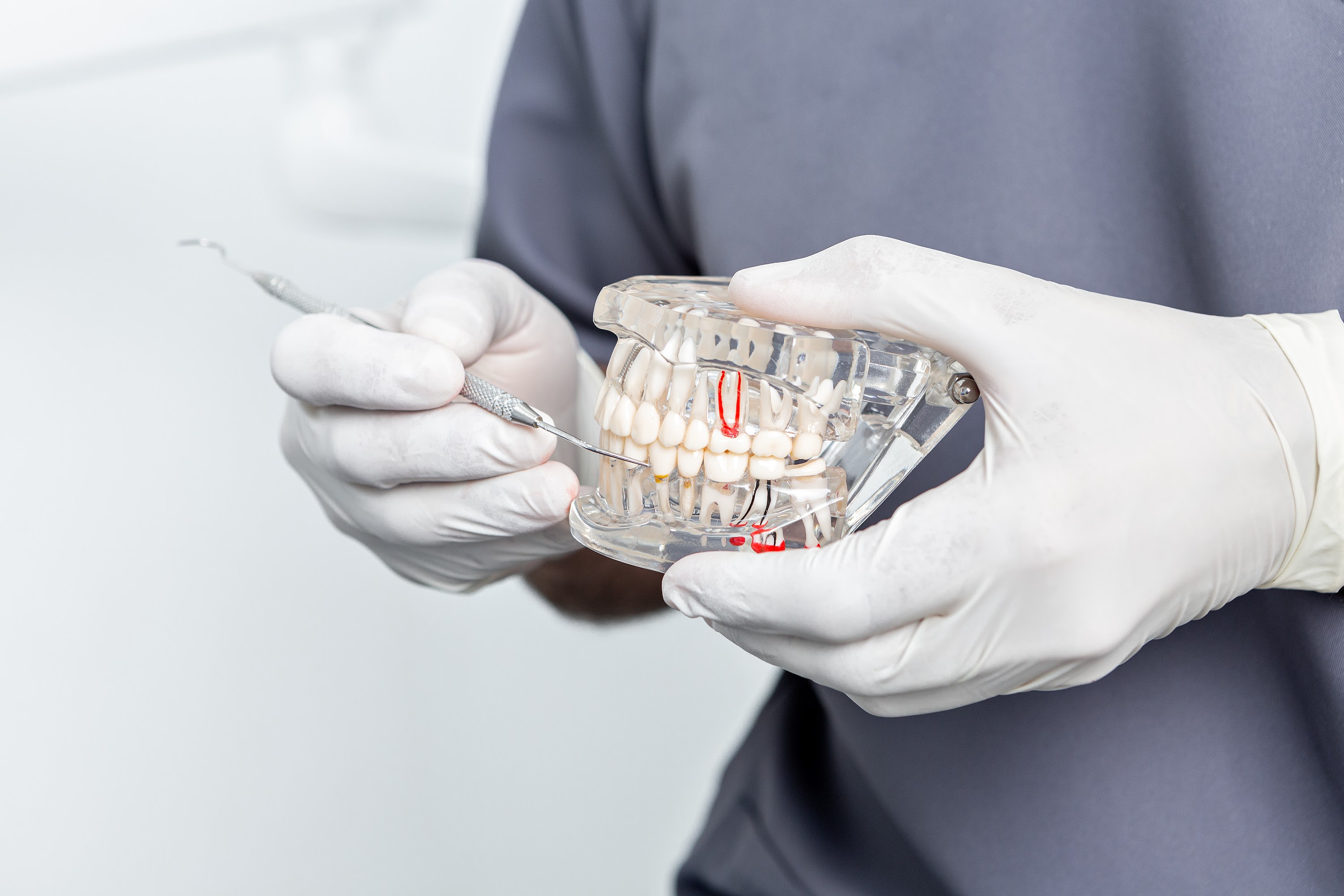 close-up-view-of-the-hands-of-a-dentist-holding-a-2023-11-27-04-51-56-utc.jpg