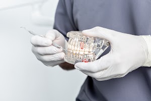 close-up-view-of-the-hands-of-a-dentist-holding-a-2023-11-27-04-51-56-utc.jpg