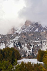 3371138882716269_dsc00544.jpg