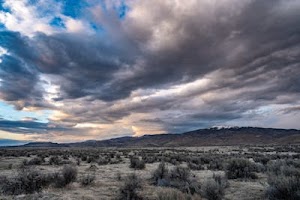 pexels-brett-sayles-2069340.jpg