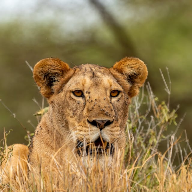 pexels-chris-clark-1933184-16044994.jpg