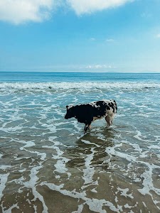 49147330787964605_img_1662.jpg