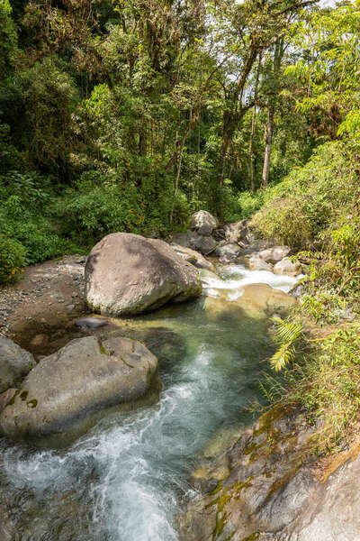 2573736727494189_p1231091.jpg