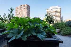 12638741211451054_p1231404.jpg