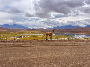 33887836869204646_img_4608.jpg
