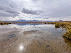 46953701229496114_img_4570.jpg