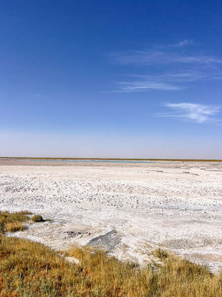 6596736267672088_img_47832.jpg