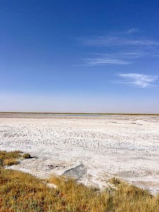 6596736267672088_img_47832.jpg