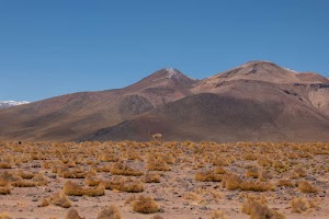 1254833059364553_p1231981.jpg